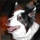 Skylar was adopted in March, 2005